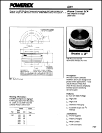 C391P Datasheet