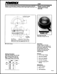 C451PD Datasheet