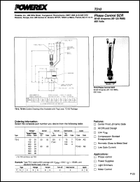 T510055004AQ Datasheet