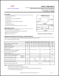 RS1D Datasheet