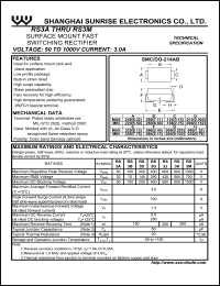 RS3B Datasheet
