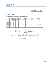 FM404 Datasheet