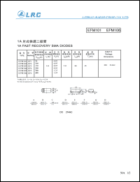 EFM101 Datasheet