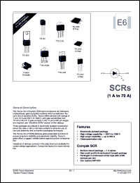 S6065J Datasheet