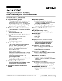 Am29LV160DT-90WCI Datasheet