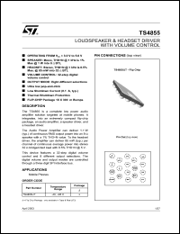TS4855IJT Datasheet