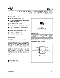 TS616IDWT Datasheet