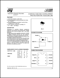 L3100B Datasheet