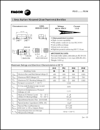 FS1M Datasheet