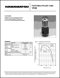 1P28 Datasheet