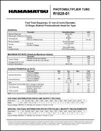 R1868-01 Datasheet