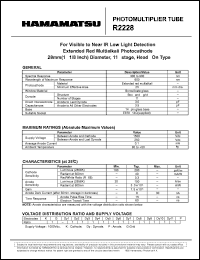 R2228 Datasheet