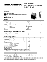 R5900U-00-L16 Datasheet