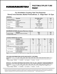 R6091 Datasheet