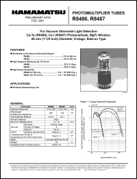 R8486 Datasheet