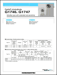 G1746 Datasheet