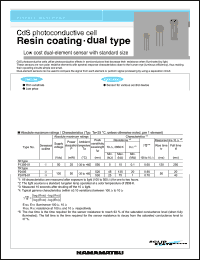 P2405 Datasheet
