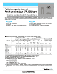 P1096-06 Datasheet