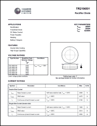 TR2106SY39 Datasheet