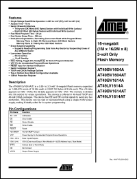 AT49LV1614A-70CI Datasheet