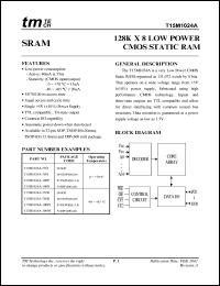 T15M1024A-100PI Datasheet