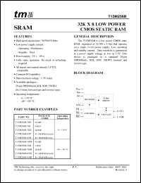 T15M256B-85RI Datasheet