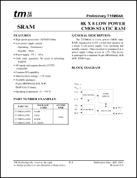 T15M64A-100D Datasheet