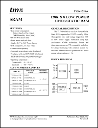 T15N1024A-100P Datasheet
