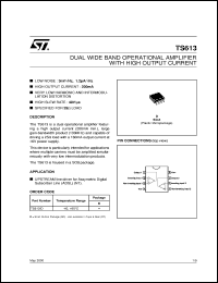 TS613 Datasheet