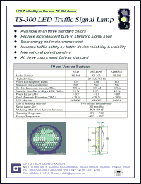 TS-300 Datasheet