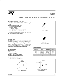 TS821 Datasheet