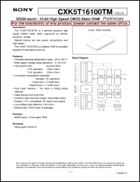 CXK5T16100TM-12LLX Datasheet