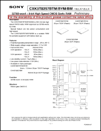 CXK5T8257BYM Datasheet