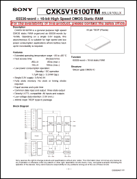 CXK5V16100TM-10LLX Datasheet