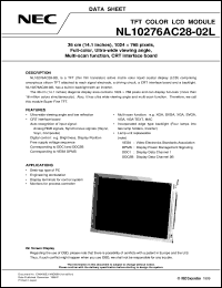 NL10276AC28-01L Datasheet