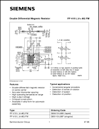 FP410L(4x80)FM Datasheet